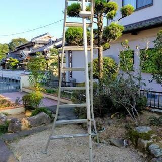 脚立植木用の画像
