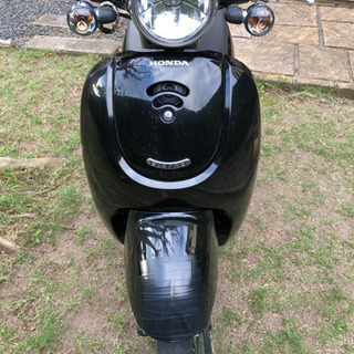 ホンダ　ジョルノ　4サイクル自賠責付きの画像