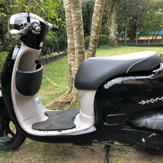 ホンダ　ジョルノ　4サイクル自賠責付きの画像
