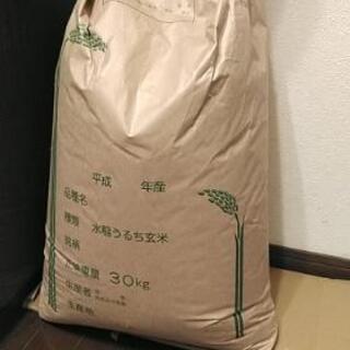 お米30キロ