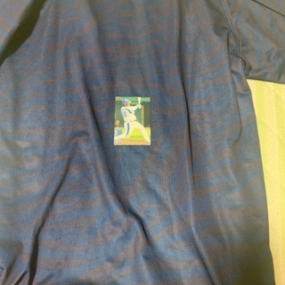 中古 プロ野球 埼玉西武ライオンズ ユニホームとライオンズカードの画像