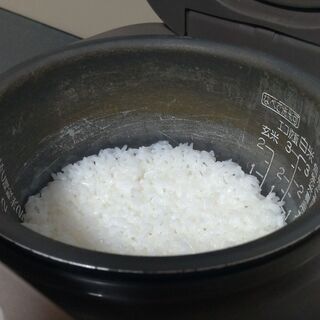 【訳あり】象印　マイコン炊飯器 NS-LF05の画像