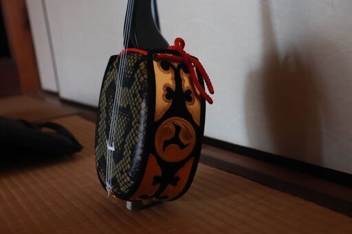 【美品】初心者用 沖縄三線 楽譜・専用ソフトバッグ付き