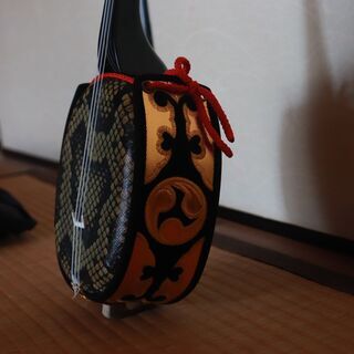 【美品】初心者用 沖縄三線 楽譜・専用ソフトバッグ付きの画像