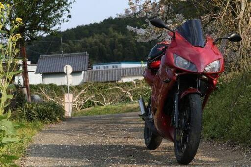 NS-1 CBR仕様！ エンジン良好