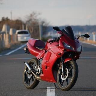 NS-1 CBR仕様！ エンジン良好の画像