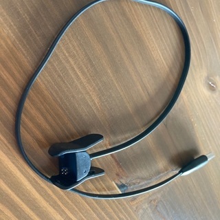 GARMIN 活動量計/時計/スマートウォッチ vivosmartLサイズの画像