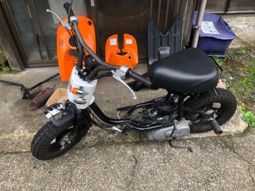 スズキ　チョイノリ