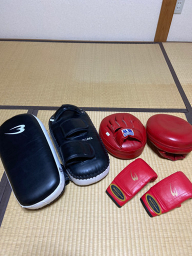 キックミット、パンチミット