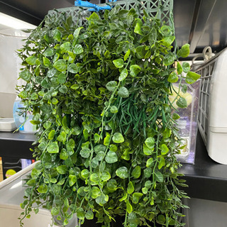 人工観葉植物　壁掛けリーフ　1個　リサイクルショップ宮崎屋21.2.14の画像