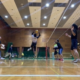 バレーボールメンバー募集