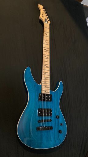 弦楽器、ギター FUJIGEN JMY-ASH-M GP TB