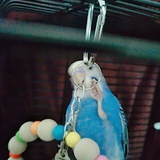 初めまして(*•̀ᴗ•́*)و ̑̑
