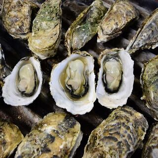 【漁師直送】牡蠣Q家（カキキュヤ）【実施期間】2020年11月～...