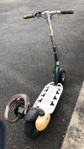 ゴーペット　実動車
