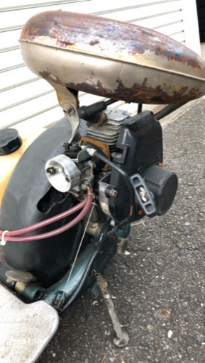 ゴーペット　実動車