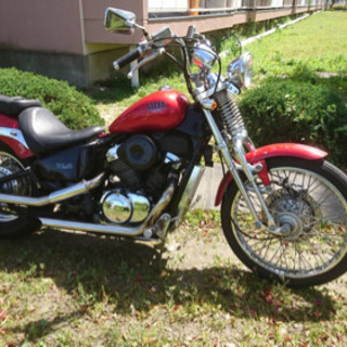 レア！！状態良いです。スティードの画像