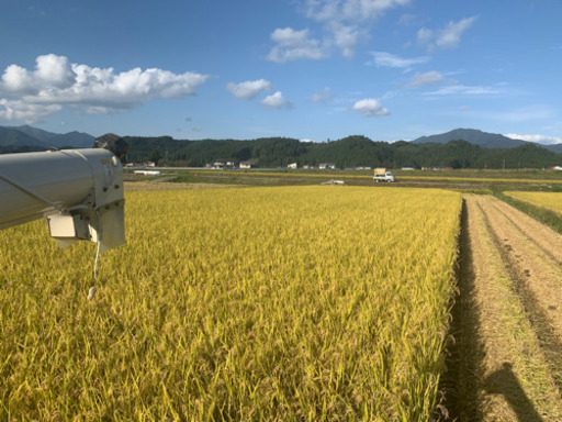 新米▲玄米30kg！令和2年度産！数量限定！30キロ！