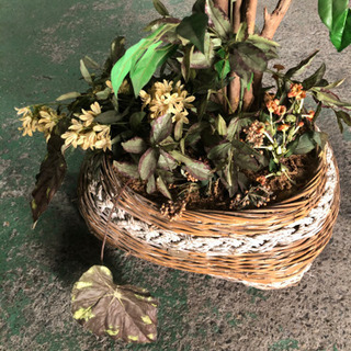 人工植物　観葉植物　模造植物　1.8mの画像