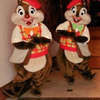 ディズニー平日イン友募集! − 千葉県