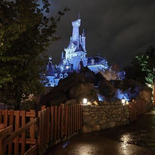 ディズニー平日イン友募集! - 友達