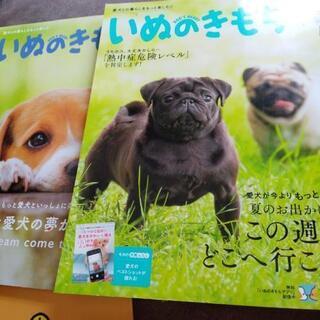 いぬの気持ちの画像