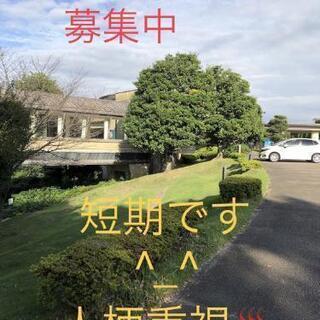 アルバイト募集###