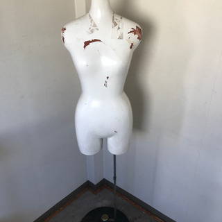 ハーフマネキンの画像