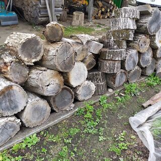 ナラ薪用の玉材です。※０円ですが条件付き