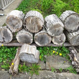 ナラ薪用の玉材です。※０円ですが条件付きの画像