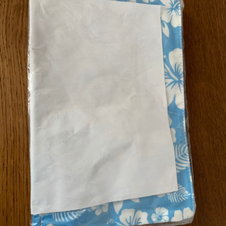 【新品未使用】ハワイで購入　モニ　日焼けスヌーピー　ポーチの画像