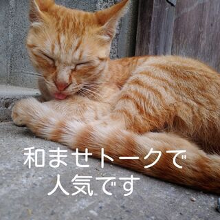 【20～40代限定】将来に不安しかない方☆解決の糸口見つけます【...