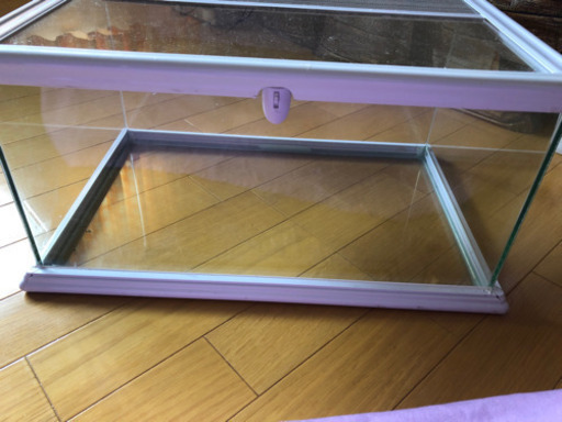 ホワイトゲージ(爬虫類用)