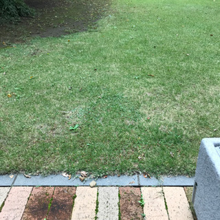 バカみたいな青春してみたい【サークルしばふ】