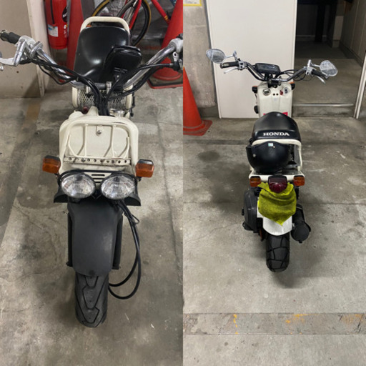 ホンダ　ズーマー　実働