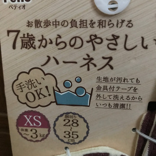 7歳からのやさしいハーネス①の画像