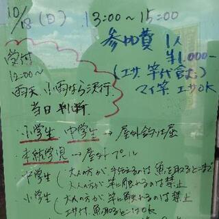 子供釣り大会！
