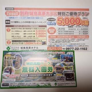 再投稿　城島高原パーク　無料入園券　4枚セット