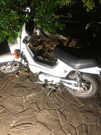 ホンダ　シャリー　2台セット