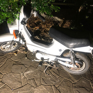 ホンダ　シャリー　2台セット