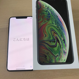 iPhone XS MAX 256G