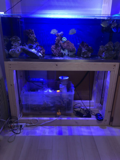 ※1200オーバーフロー水槽