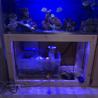 ※1200オーバーフロー水槽