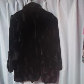 SEVET   レディースコート(15号)の画像