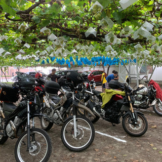 バイク仲間募集です