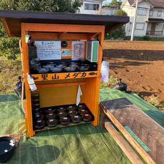 里山めだか　メダカとミジンコの無人販売所　10/14出品