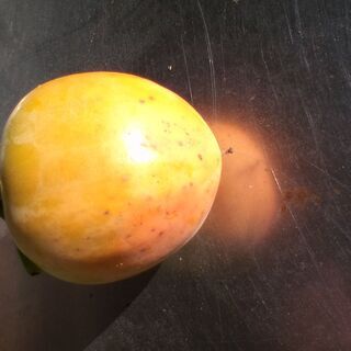 大きな柿です　沢山あります 秋の味覚の画像
