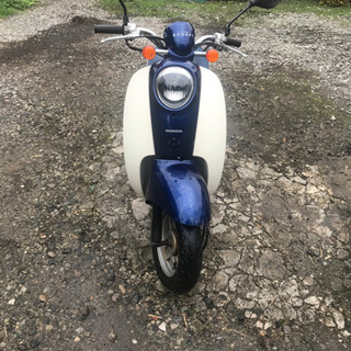 ホンダ　スクーピー　4ストの画像