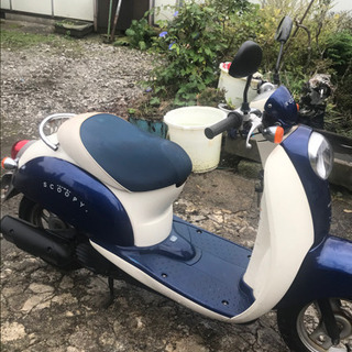 ホンダ　スクーピー　4ストの画像