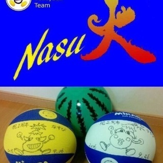 ソフトバレーボール 那須塩原市の画像